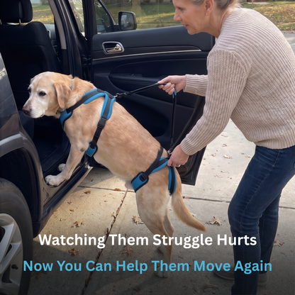 Pawrelia Mobility Harness