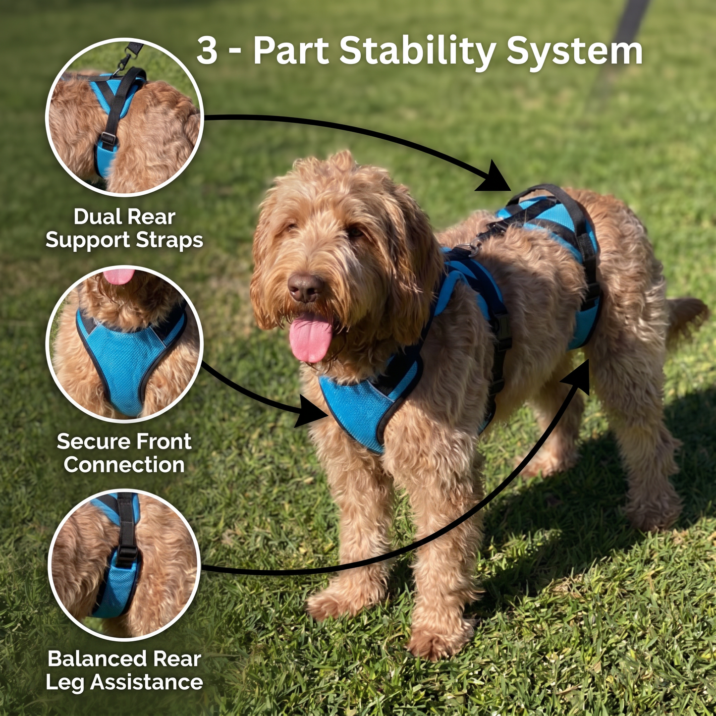 Pawrelia Mobility Harness