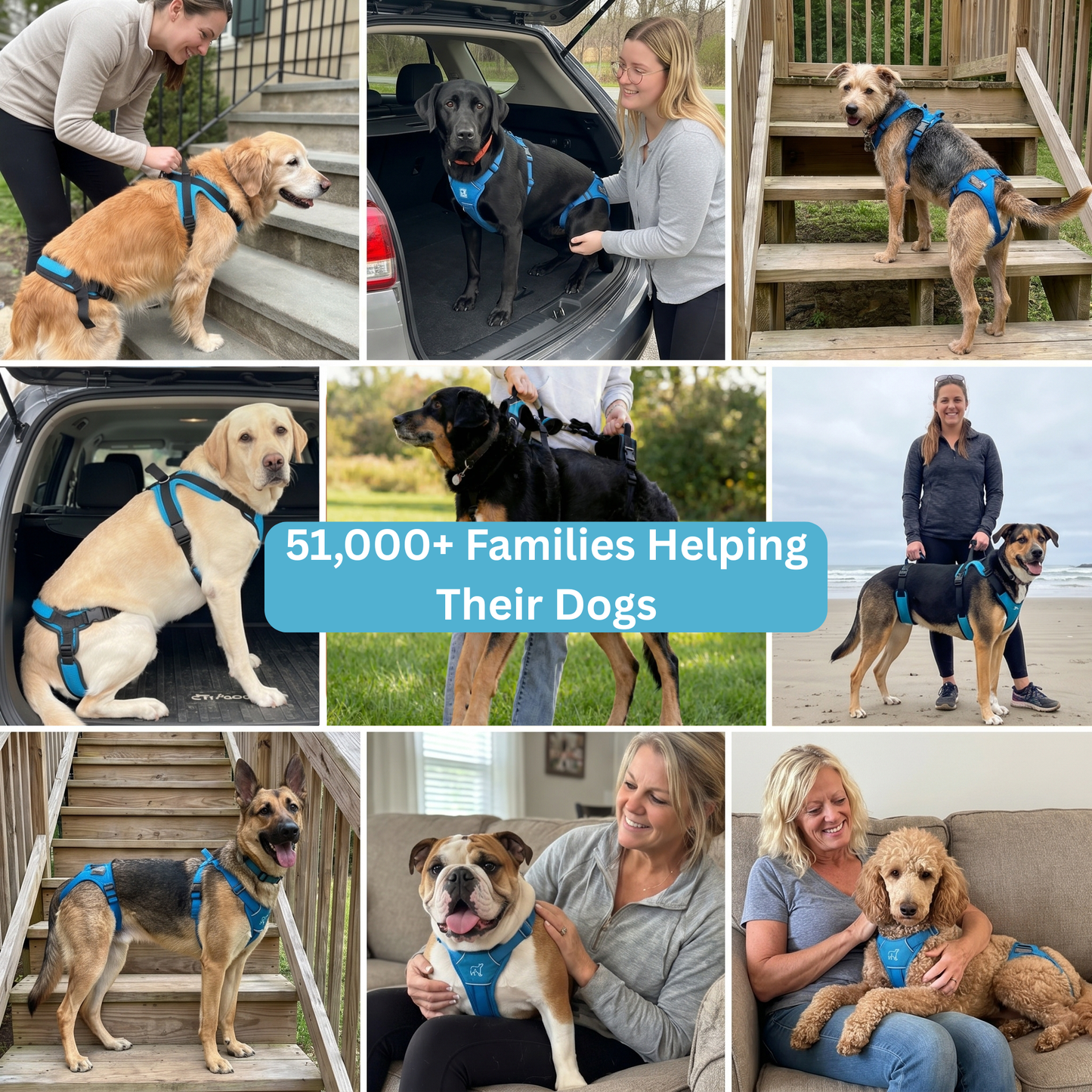 Pawrelia Mobility Harness