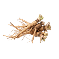 Dandelion Root