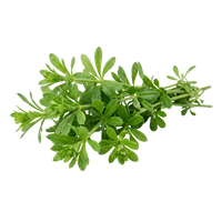 Cleavers