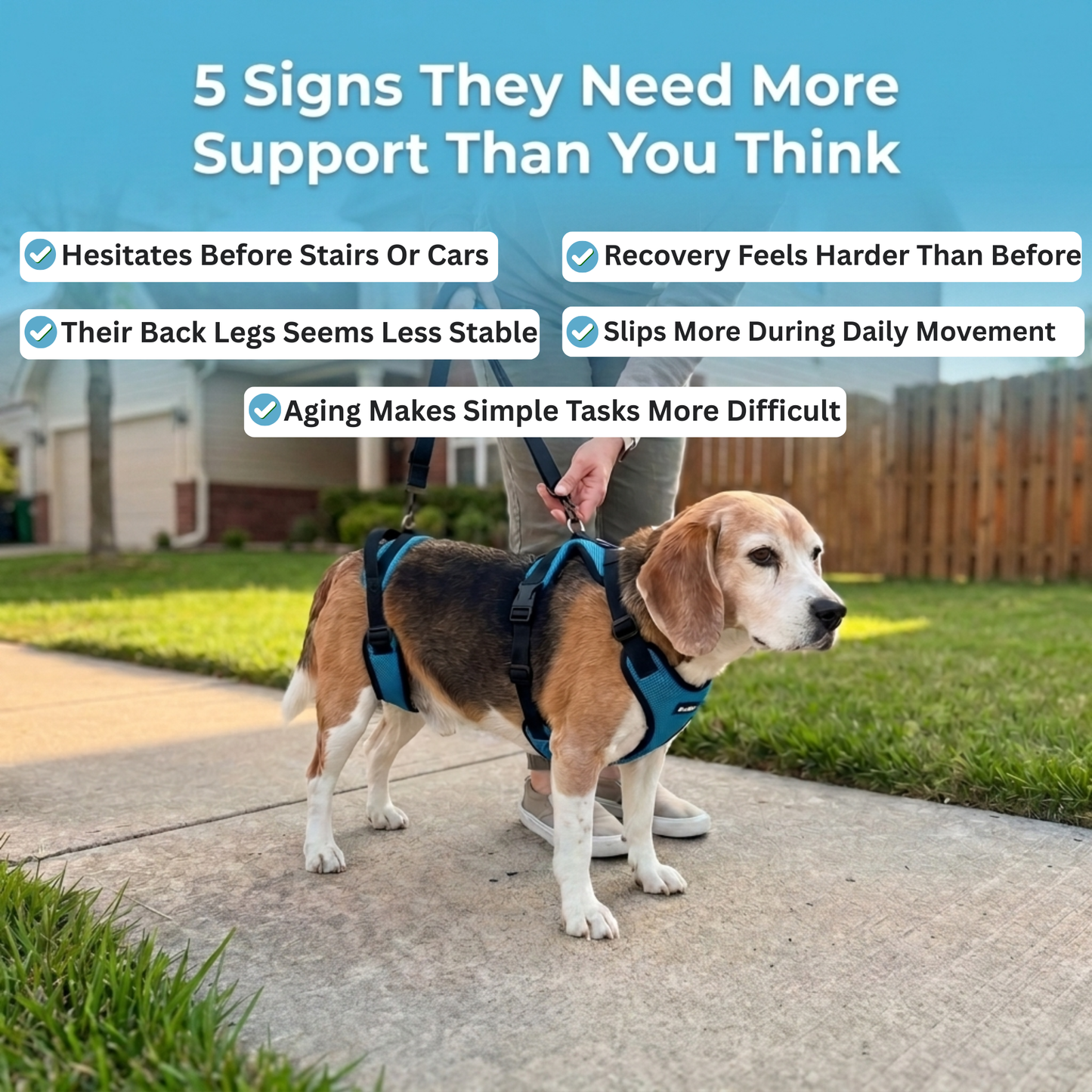 Pawrelia Mobility Harness