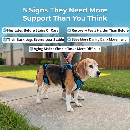 Pawrelia Mobility Harness